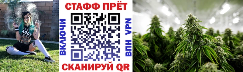 Купить Мураши МЕГА ССЫЛКА  Кокаин  Меф  Героин  Конопля  ГАШ 