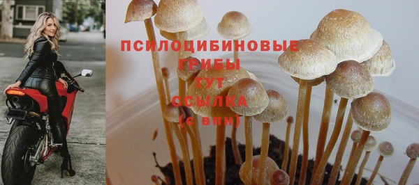 кокаин Алзамай