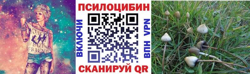 даркнет сайт  Мураши  Псилоцибиновые грибы прущие грибы 